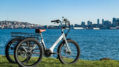 Electric Bikes