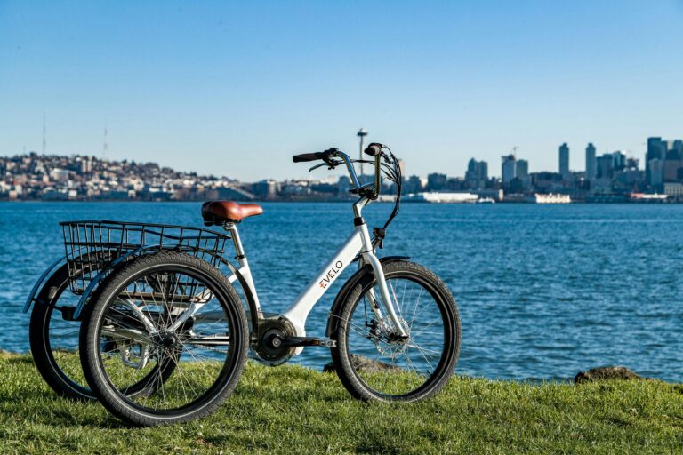Electric Bikes